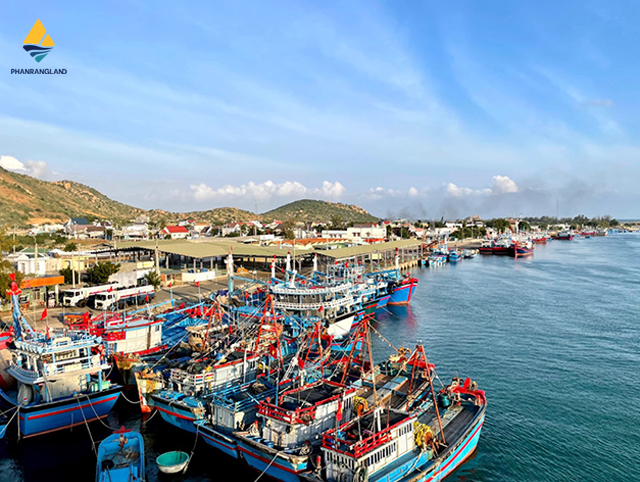 cac-huyen-cua-ninh-thuan