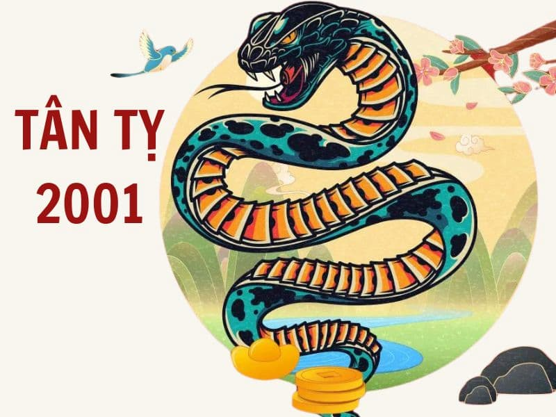 2001-tan-ty