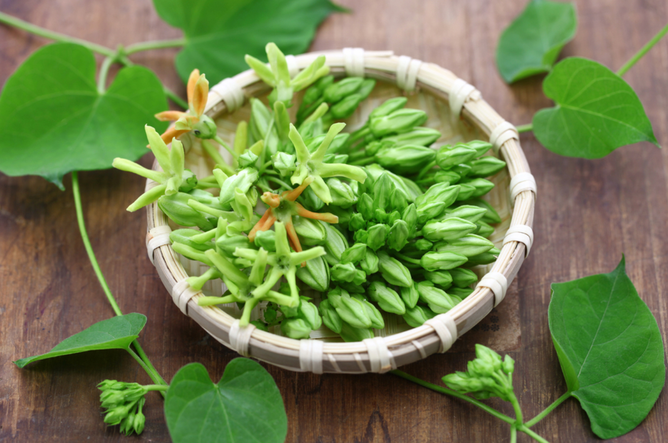 loai-hoa-phu-hop-trong-cho-ban-cong